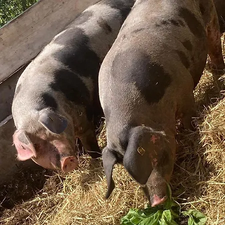 Der Bauerngarten Hébergement de vacances